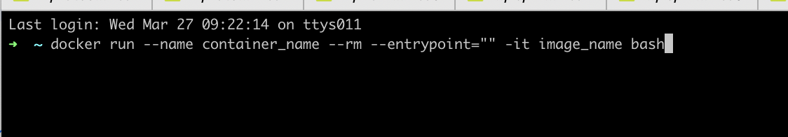 Run docker image with bash