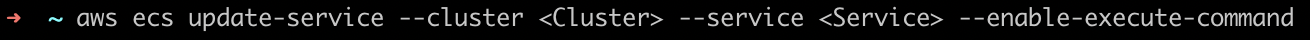 [AWS] Enable execute command on service.