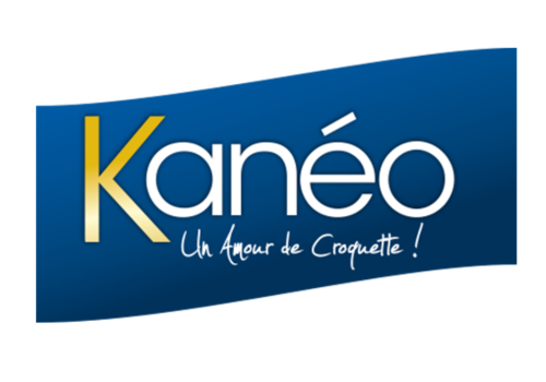 Logo Kanéo - T&B Agency partenaire
