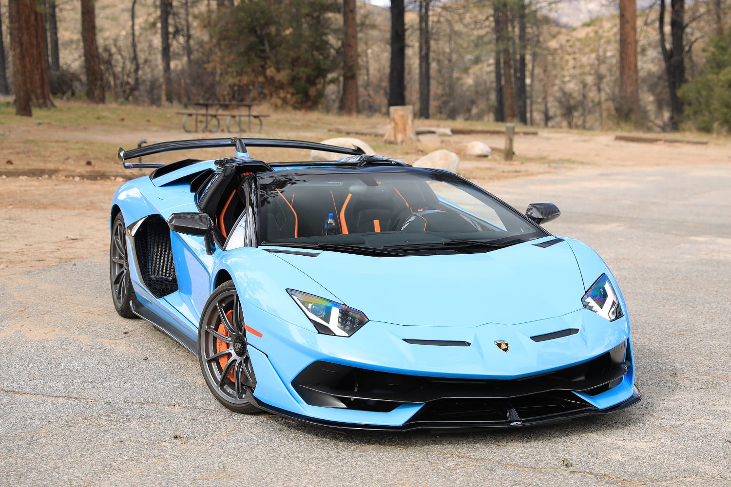 Blue Beauty