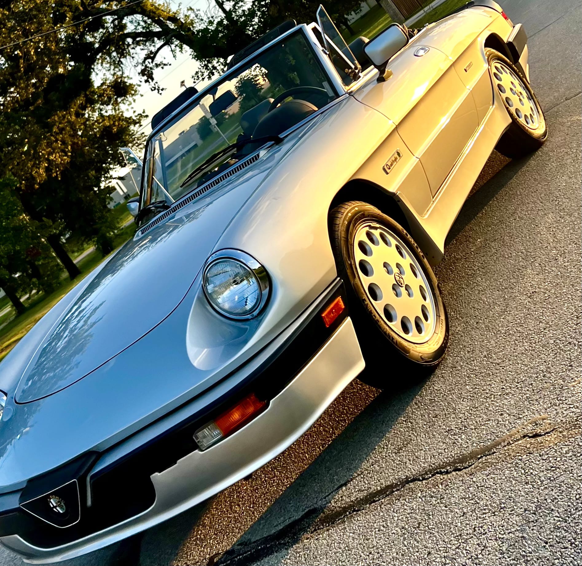 Quadrifoglio Spider 2