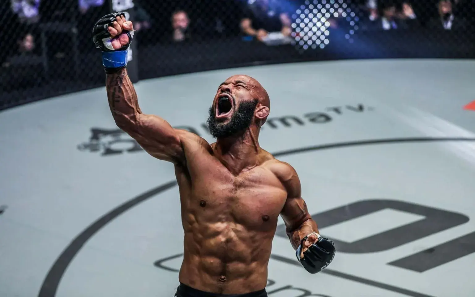 Demetrious Johnson's Transition System: How He Never Lets You Reset