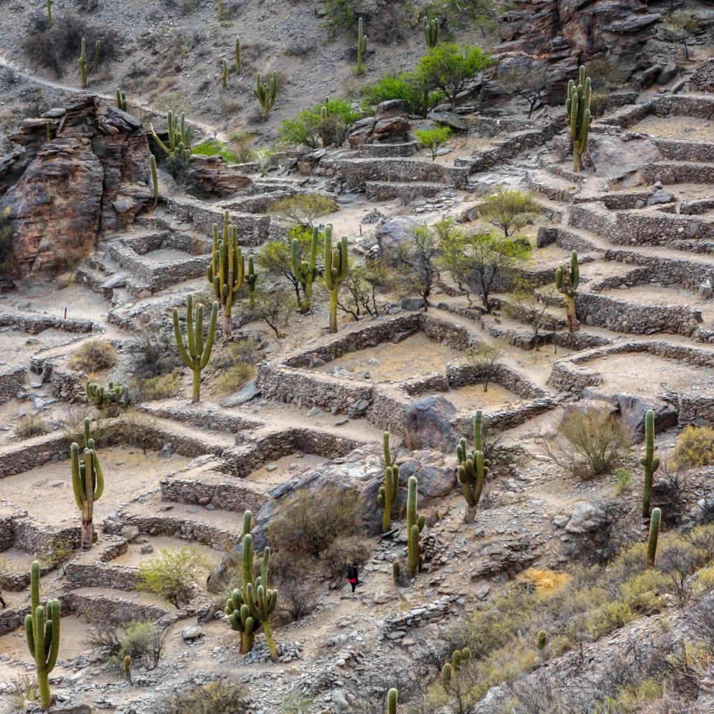 Ruinas de Quilmes Mimarlık Yarışması