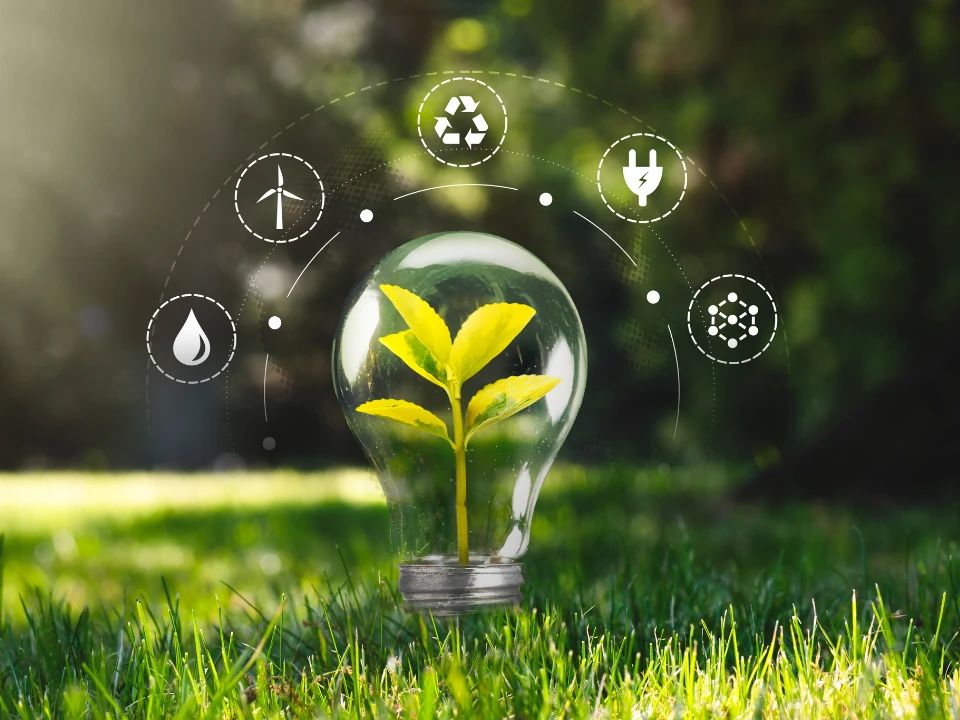 Wind energy infrastructure supporting sustainable industry