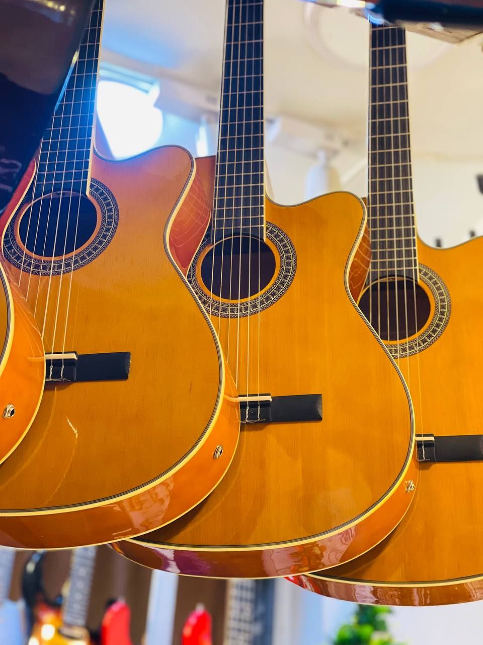 Hone Musical Instruments - Classical / Nylon GUITAR - Classical / Nylon GUITAR