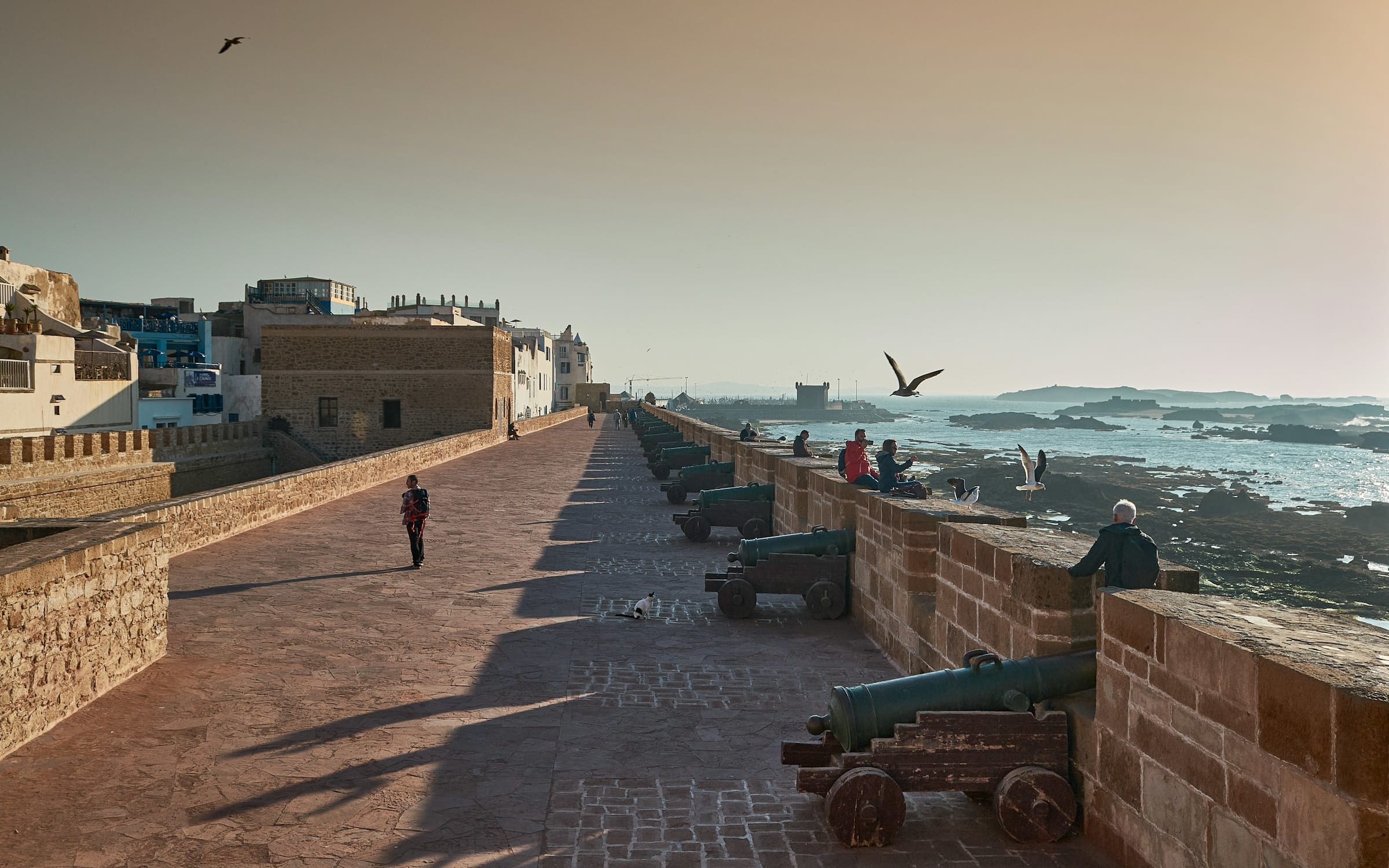 Marrakech Airport to Essaouira: Direct Private Transfer Guide