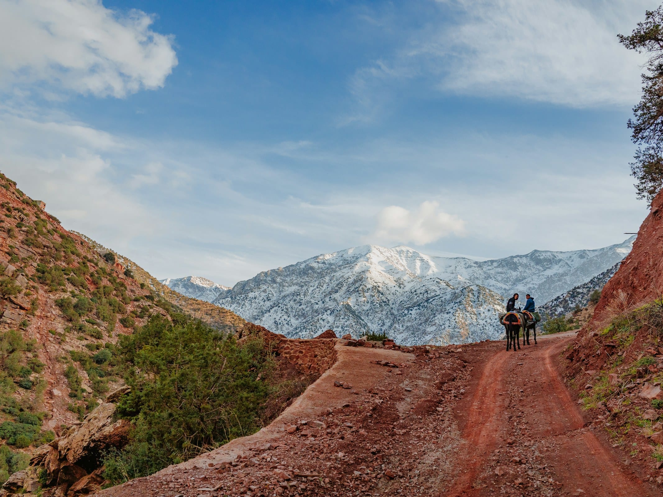 Imlil & High Atlas Private Day Trip