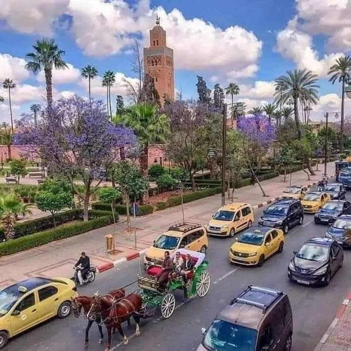 Horse carriage and Koutoubia in spring, Marrakech