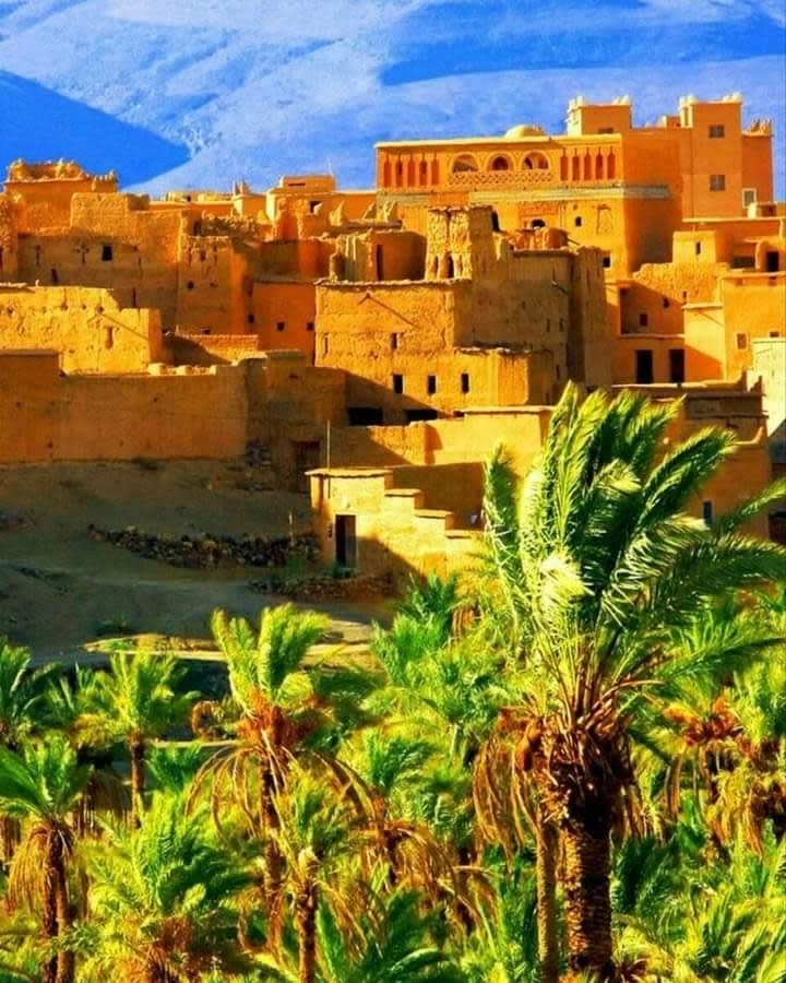Golden kasbah above a palm grove