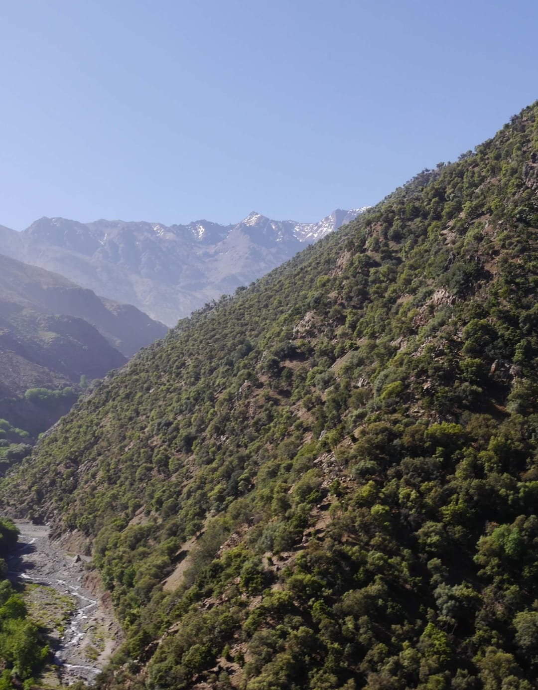 Wooded Ouirgane valley and High Atlas peaks