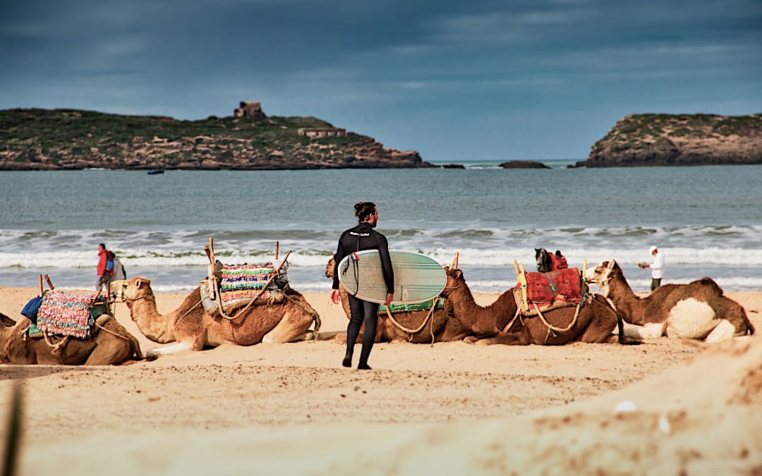Camels on Essaouira beach