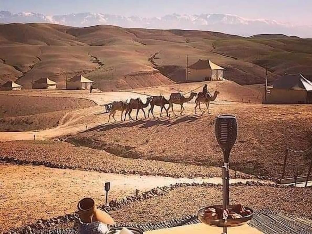 Camel ride in the Agafay desert