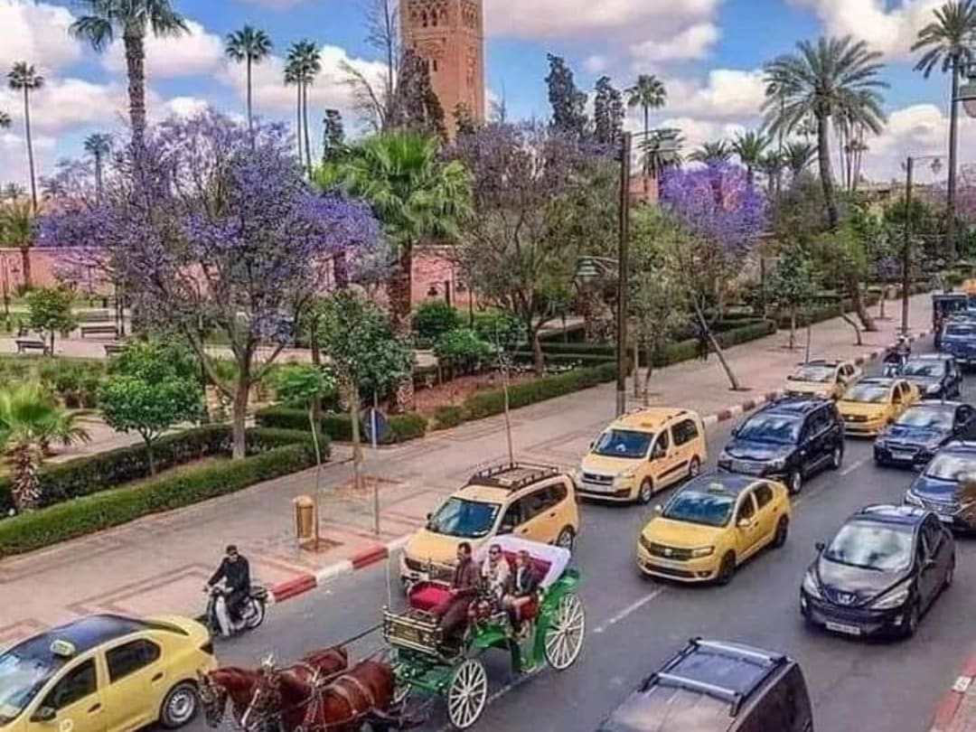 Horse carriage and Koutoubia in spring, Marrakech