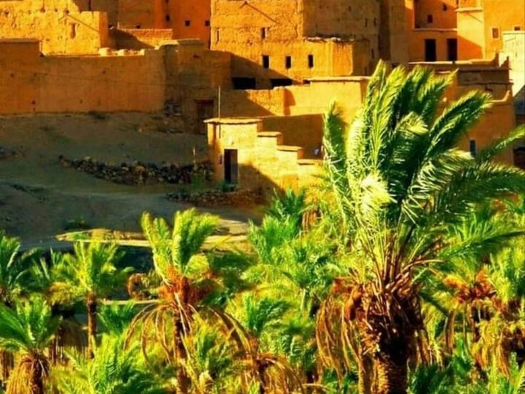 Golden kasbah above a palm grove