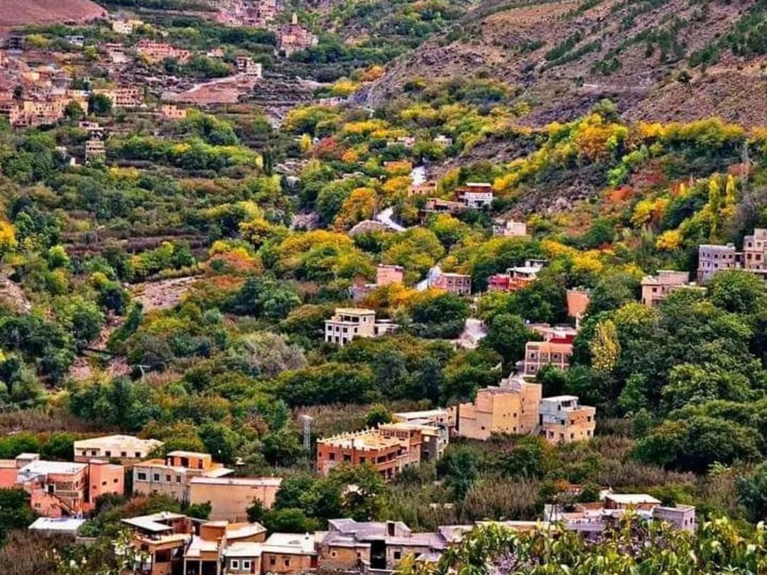 Blooming Berber valley in the High Atlas