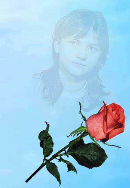 Каждый день года