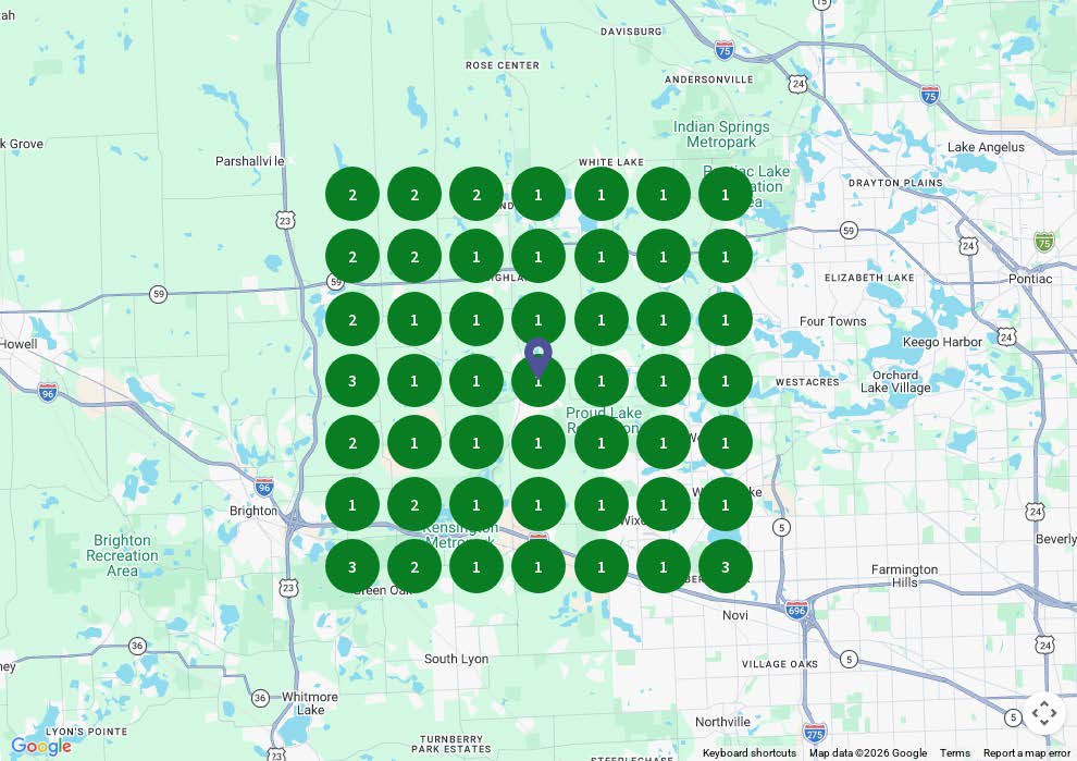 Google Business Profile geo grid results