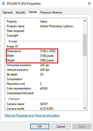 Screenshot of a photo's metadata properties showing the large image dimensions