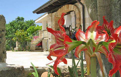 Villa Silmona B&B