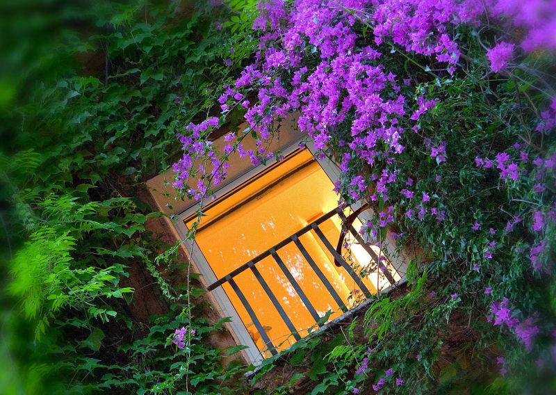 Bio Hotel Raphaël – Relais & Châteaux photo 6