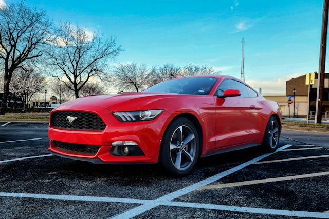 pexels-hrk-gallery-245057798-30302942