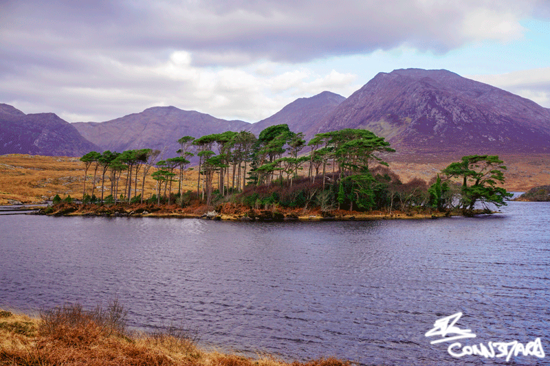 Connemara, Irlande, lac avec une île — aperçu cinématique