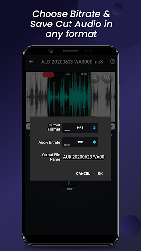 Audio Video Manager MOD APK v15.3.0 (Premium Unlocked) - screenshot 4 Audio Video Manager MOD APK v15.3.0 (Premium Unlocked) - screenshot 4