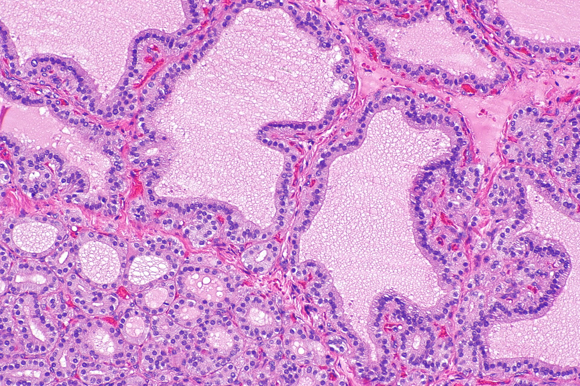 Image for question 3