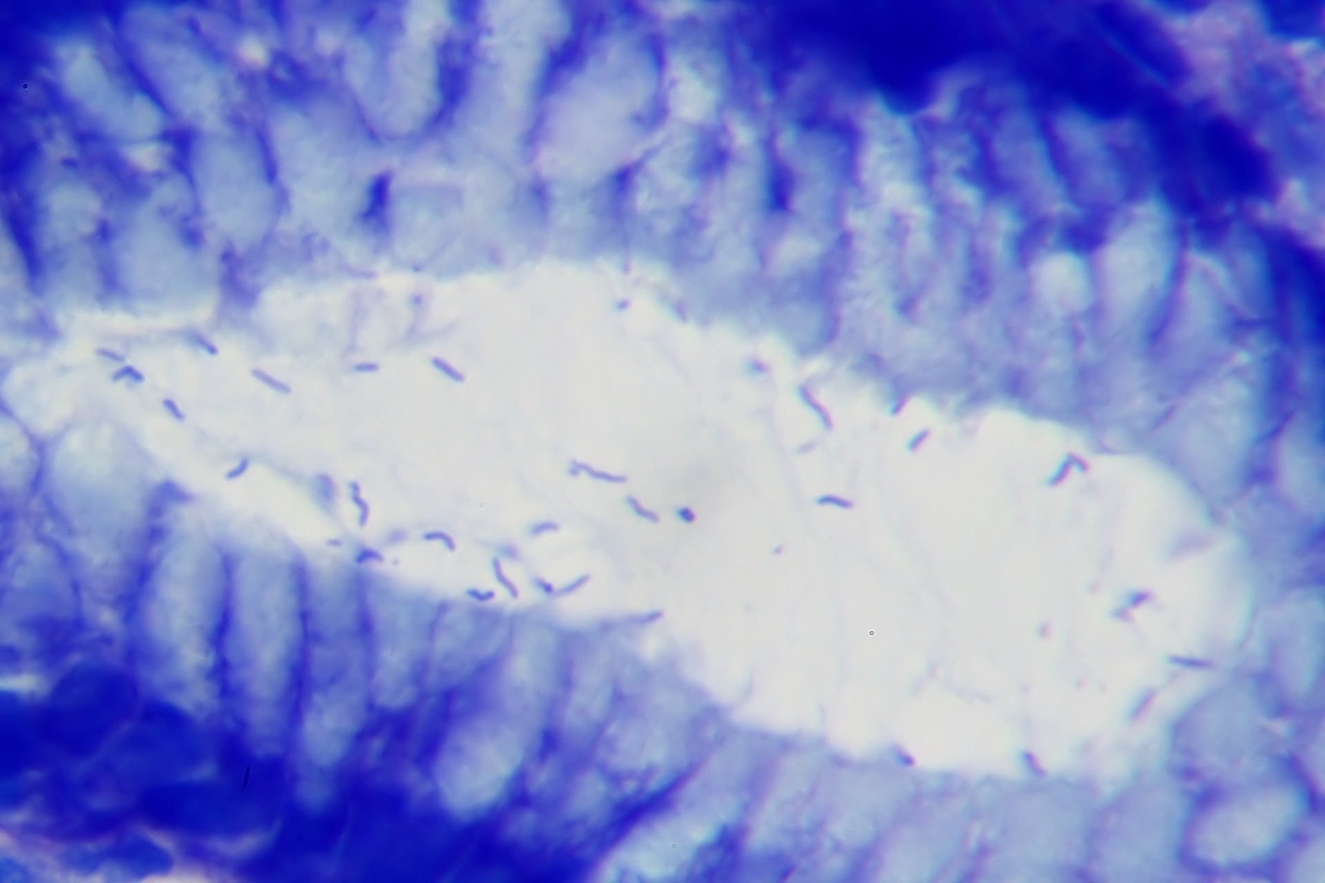 Image for question 1