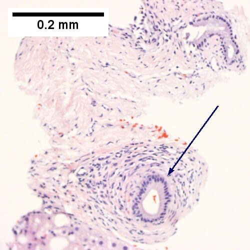 Image for question 2