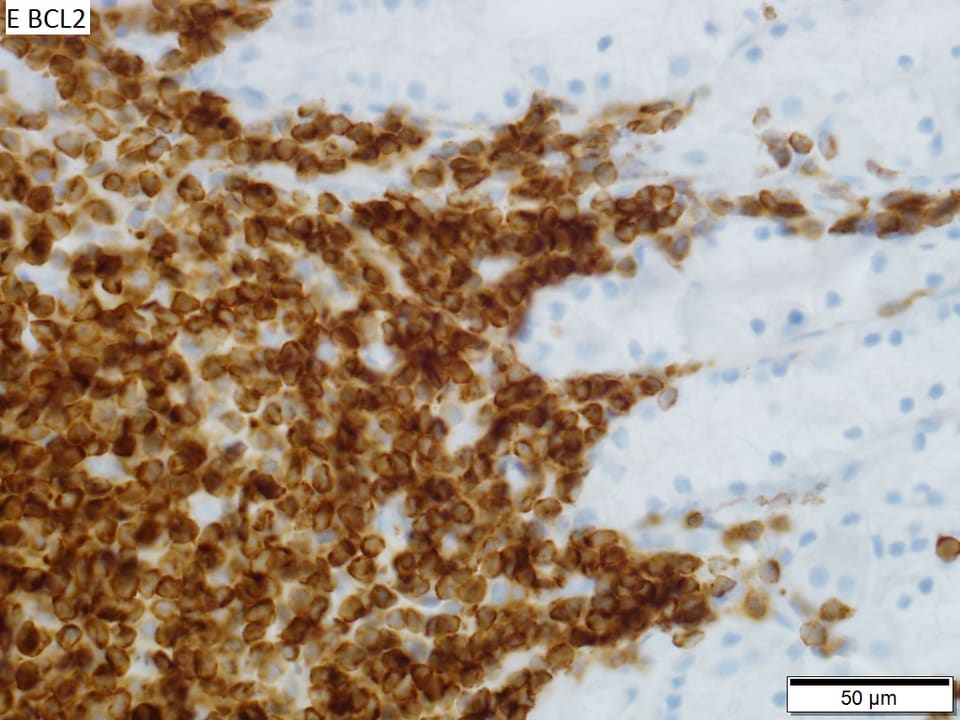 Image for question 2