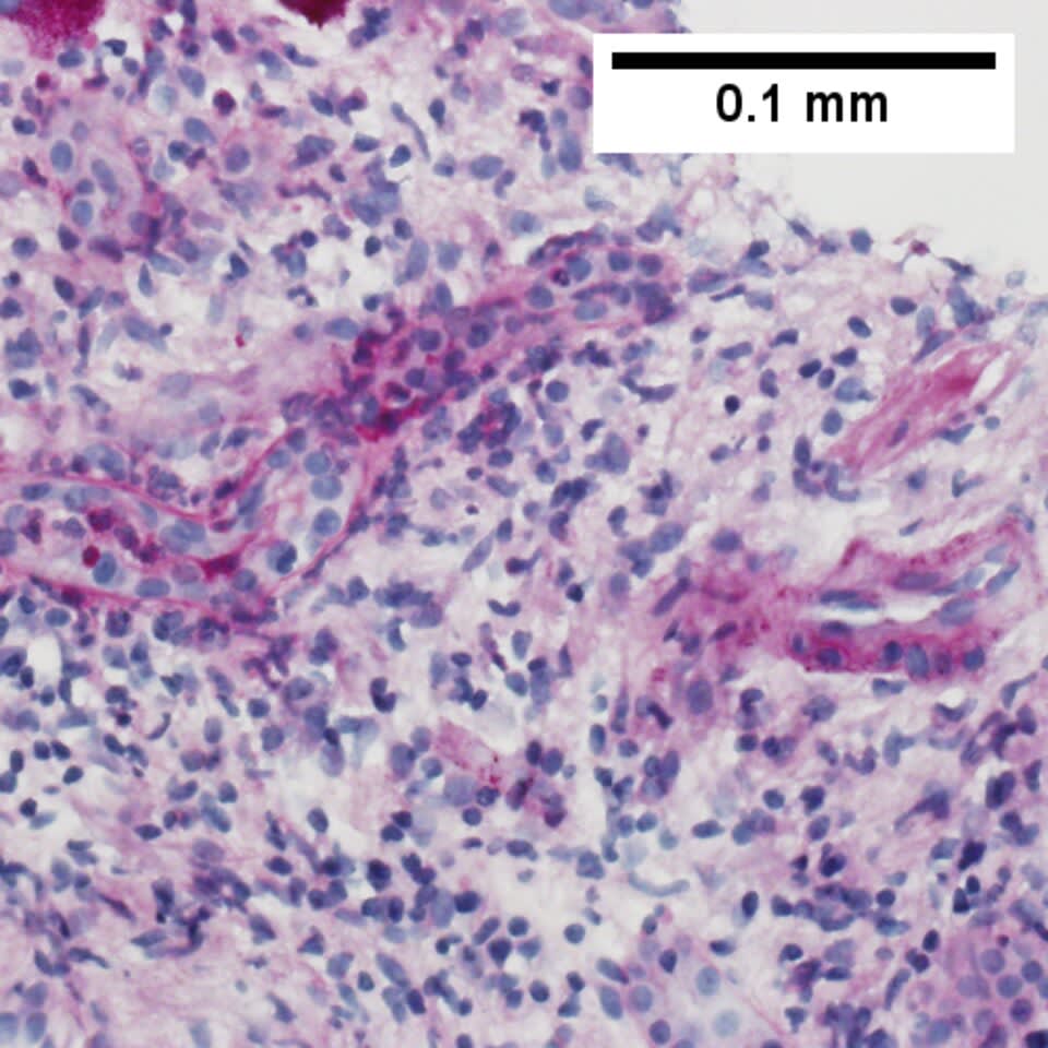 Image for question 3