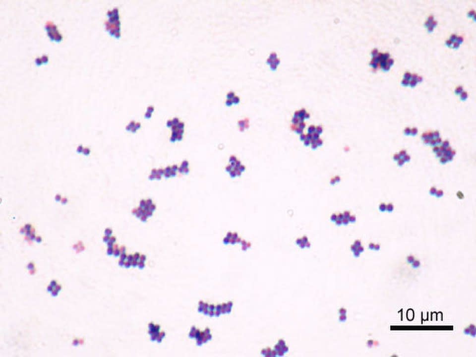 Image for question 1