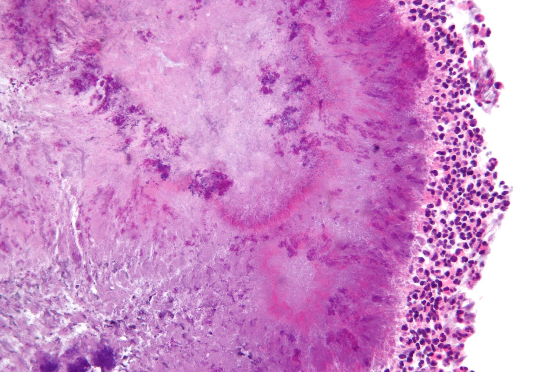 Image for question 3
