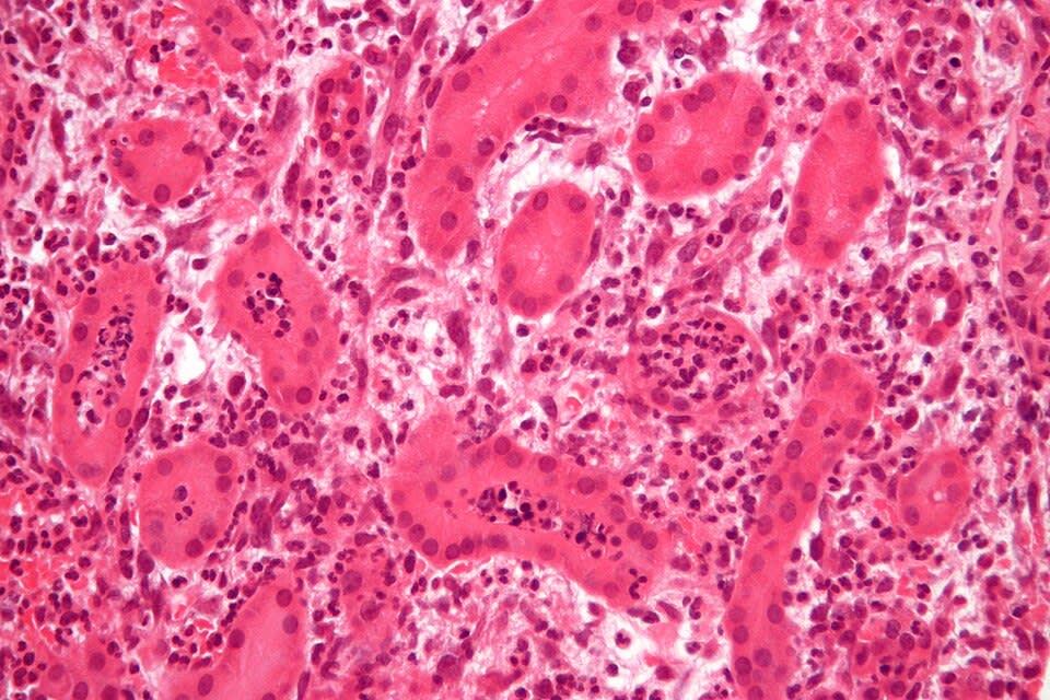 Image for question 3