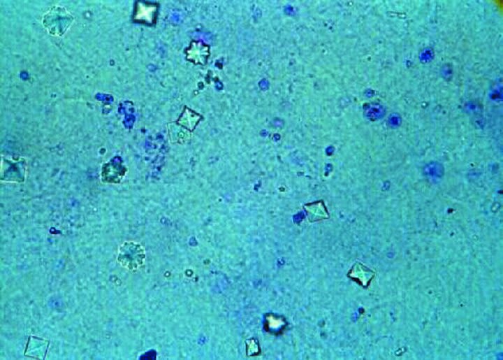 Image for question 1