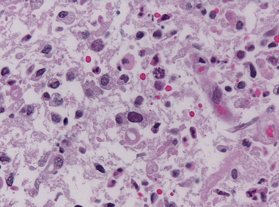 Image for question 1