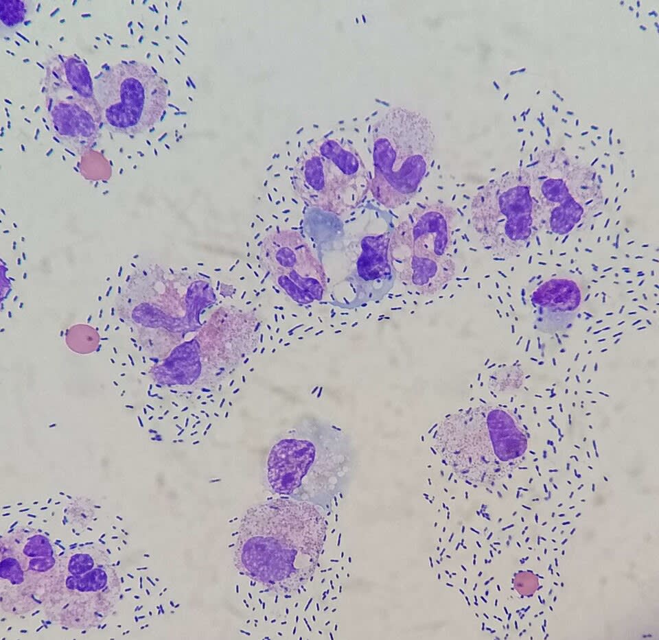 Image for question 1
