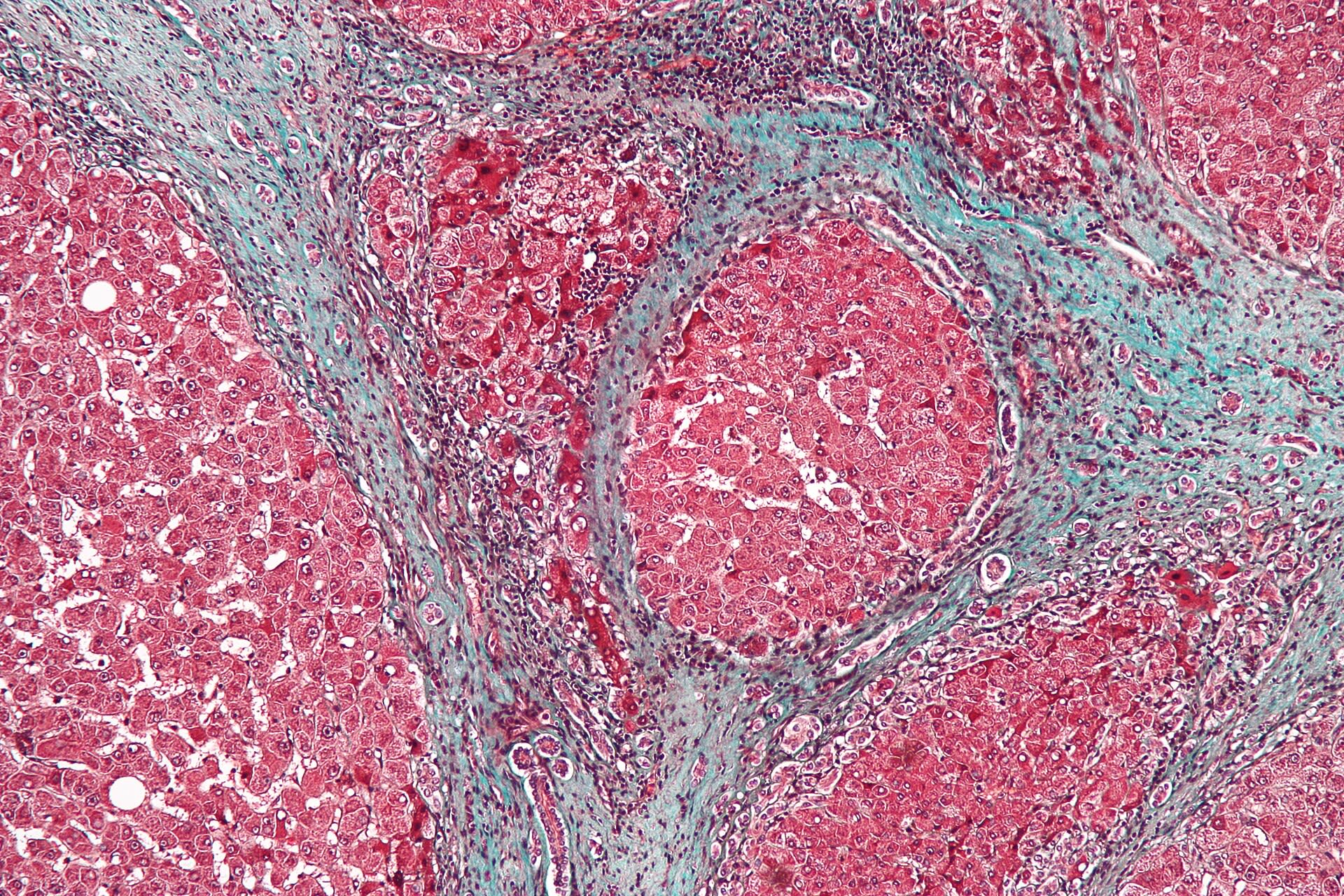 Image for question 3