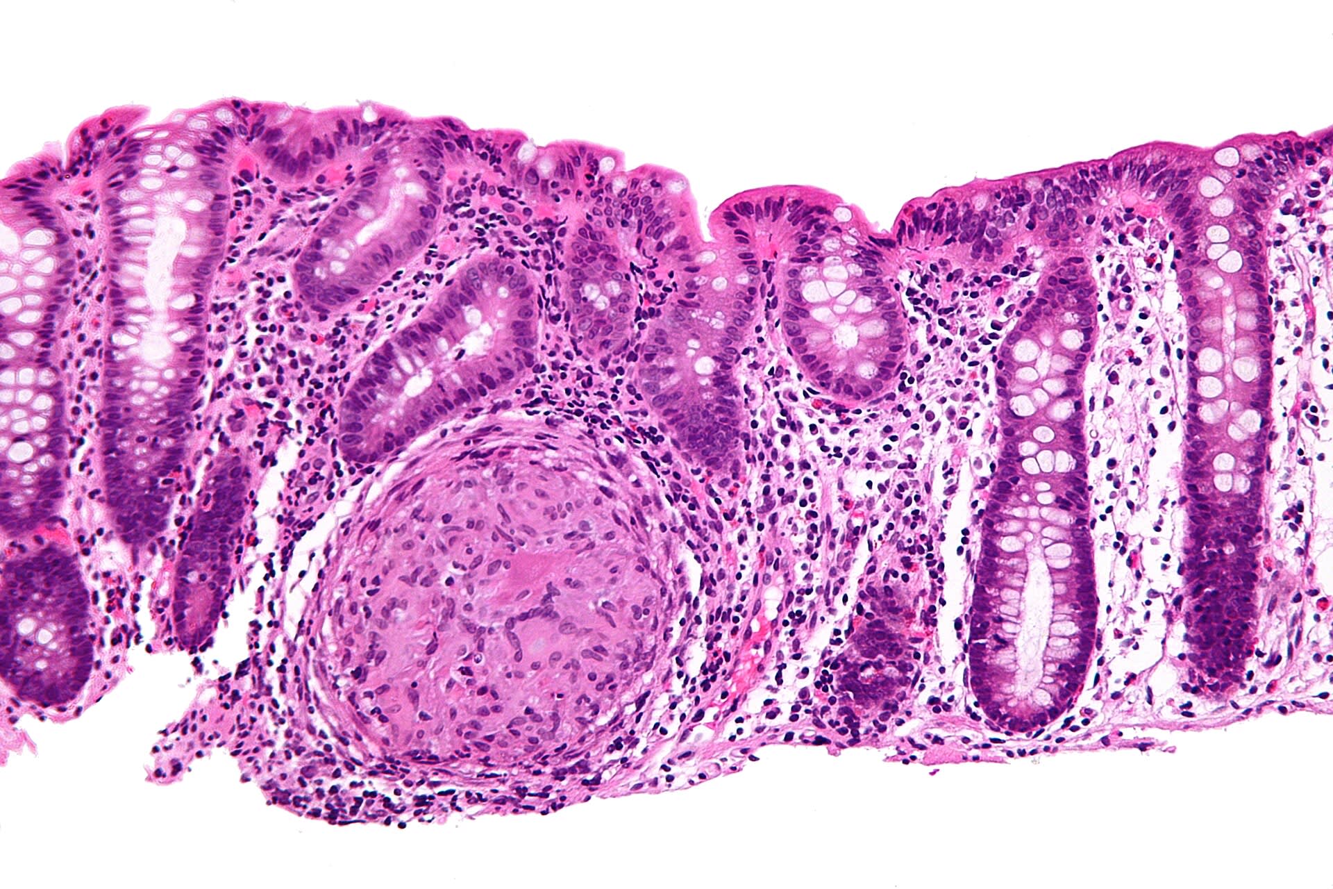 Image for question 2