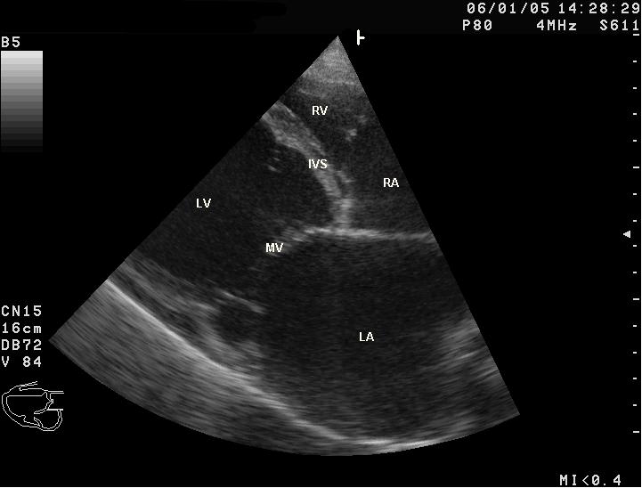 Image for question 1