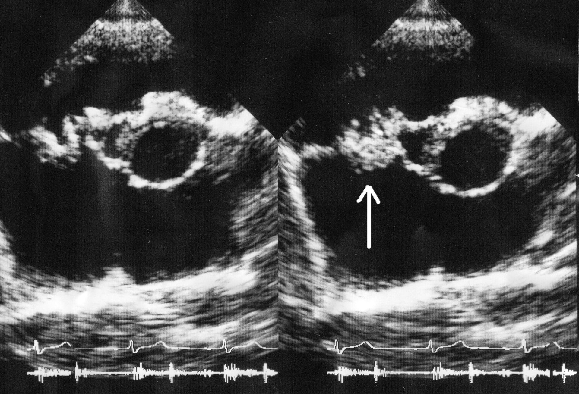 Image for question 2