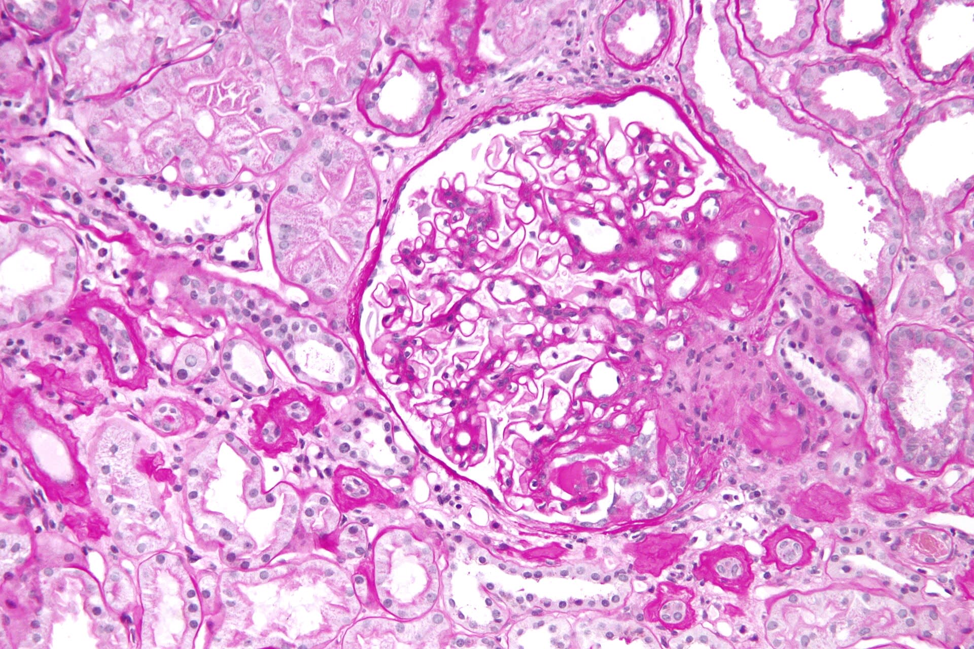 Image for question 2