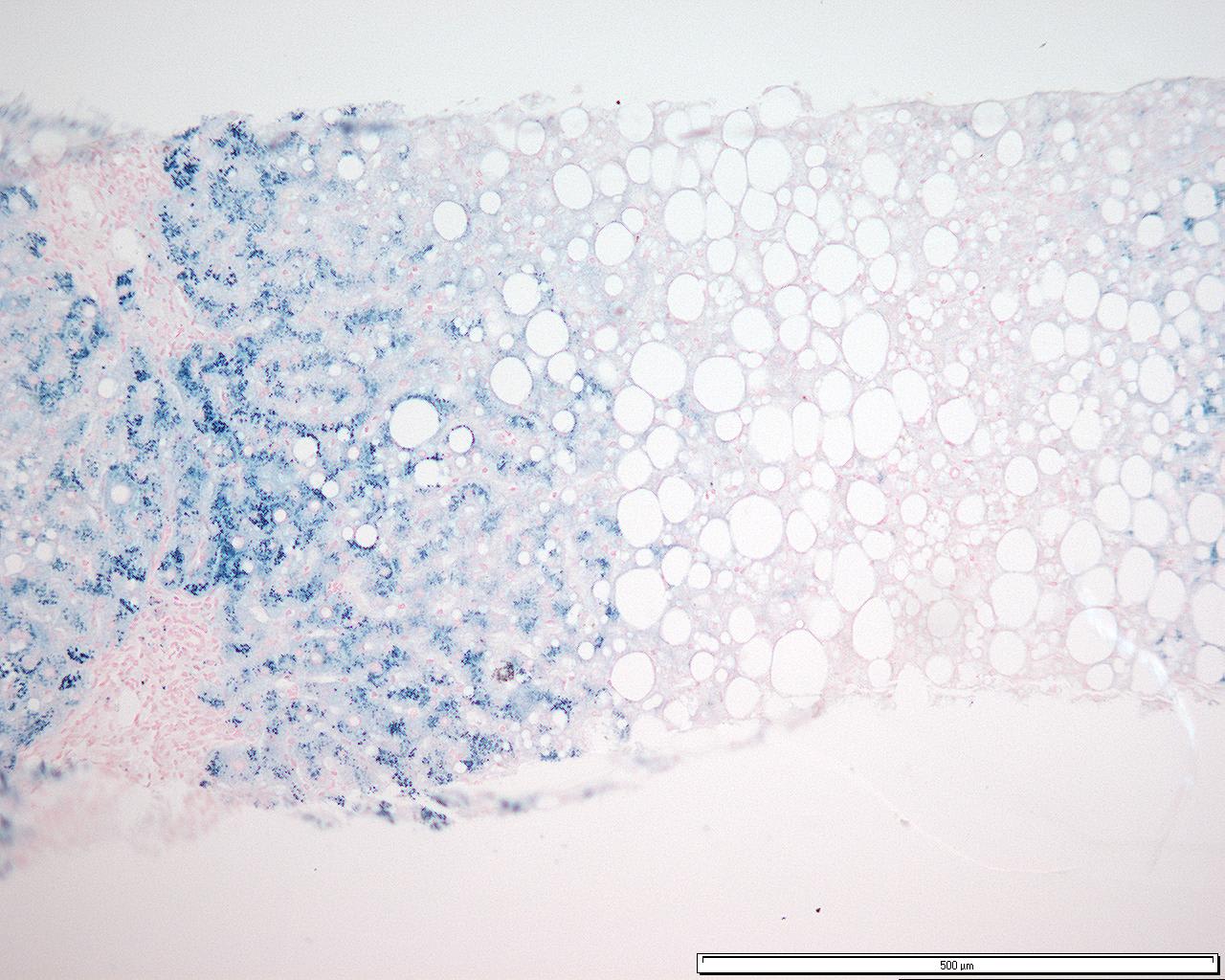 Image for question 3