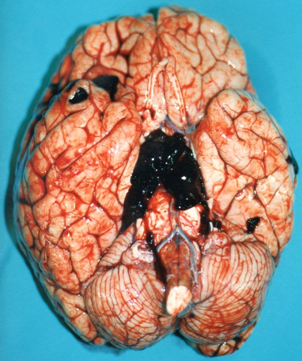 Image for question 1