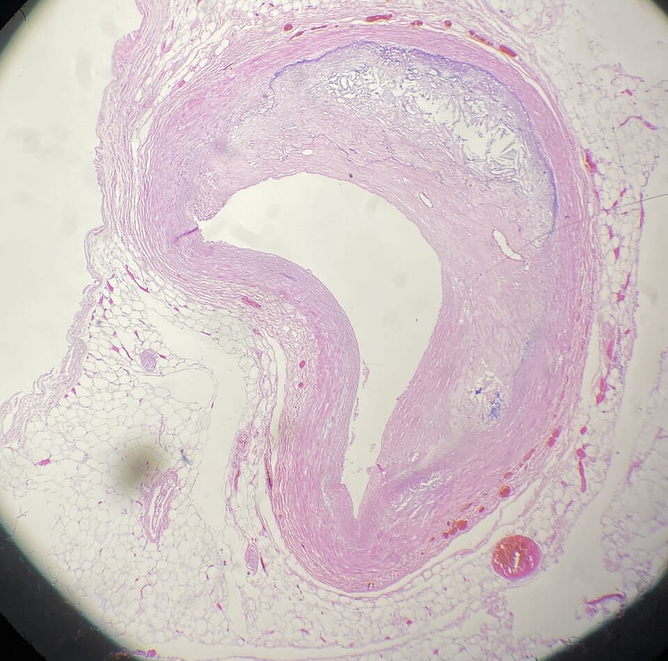 Image for question 1
