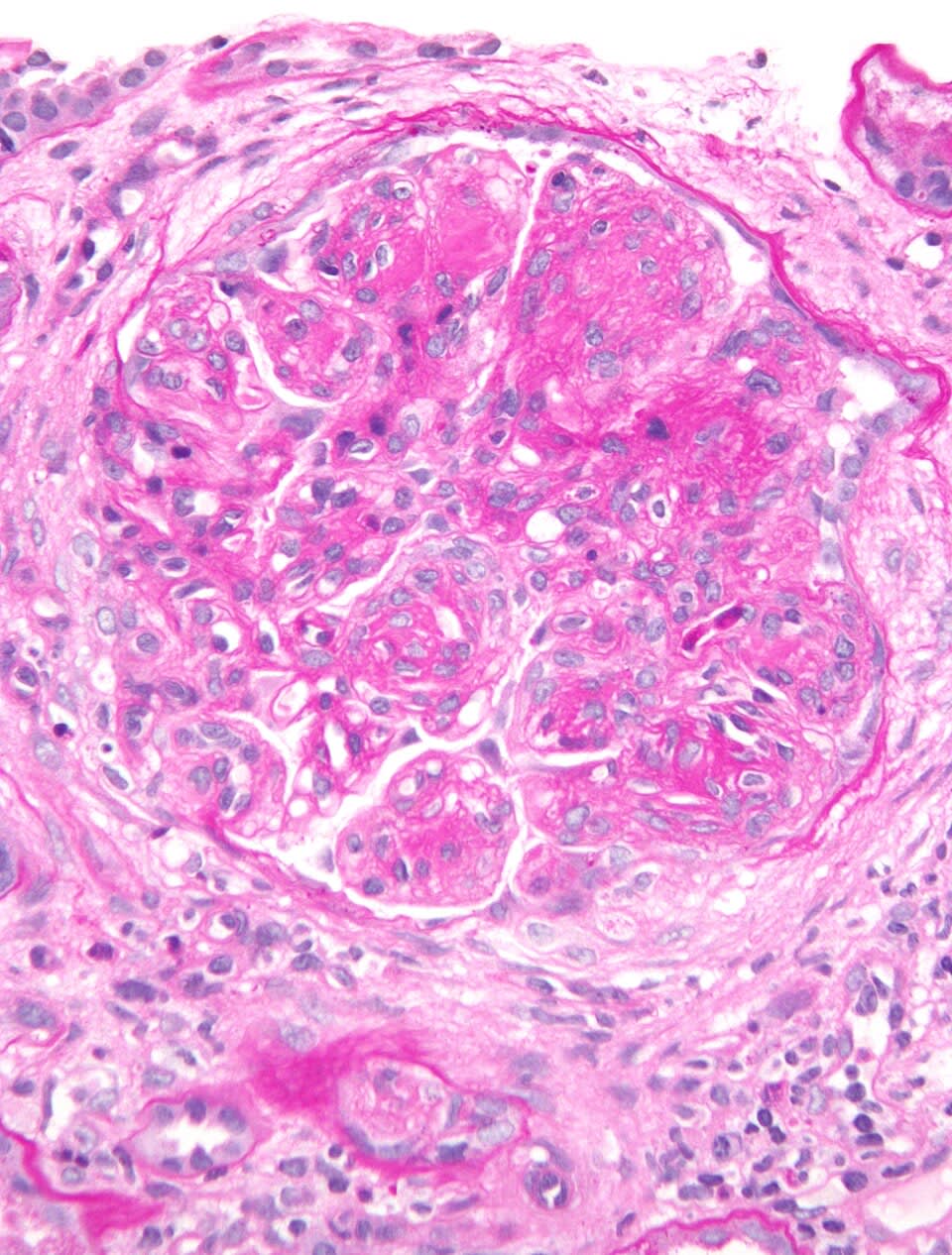 Image for question 1