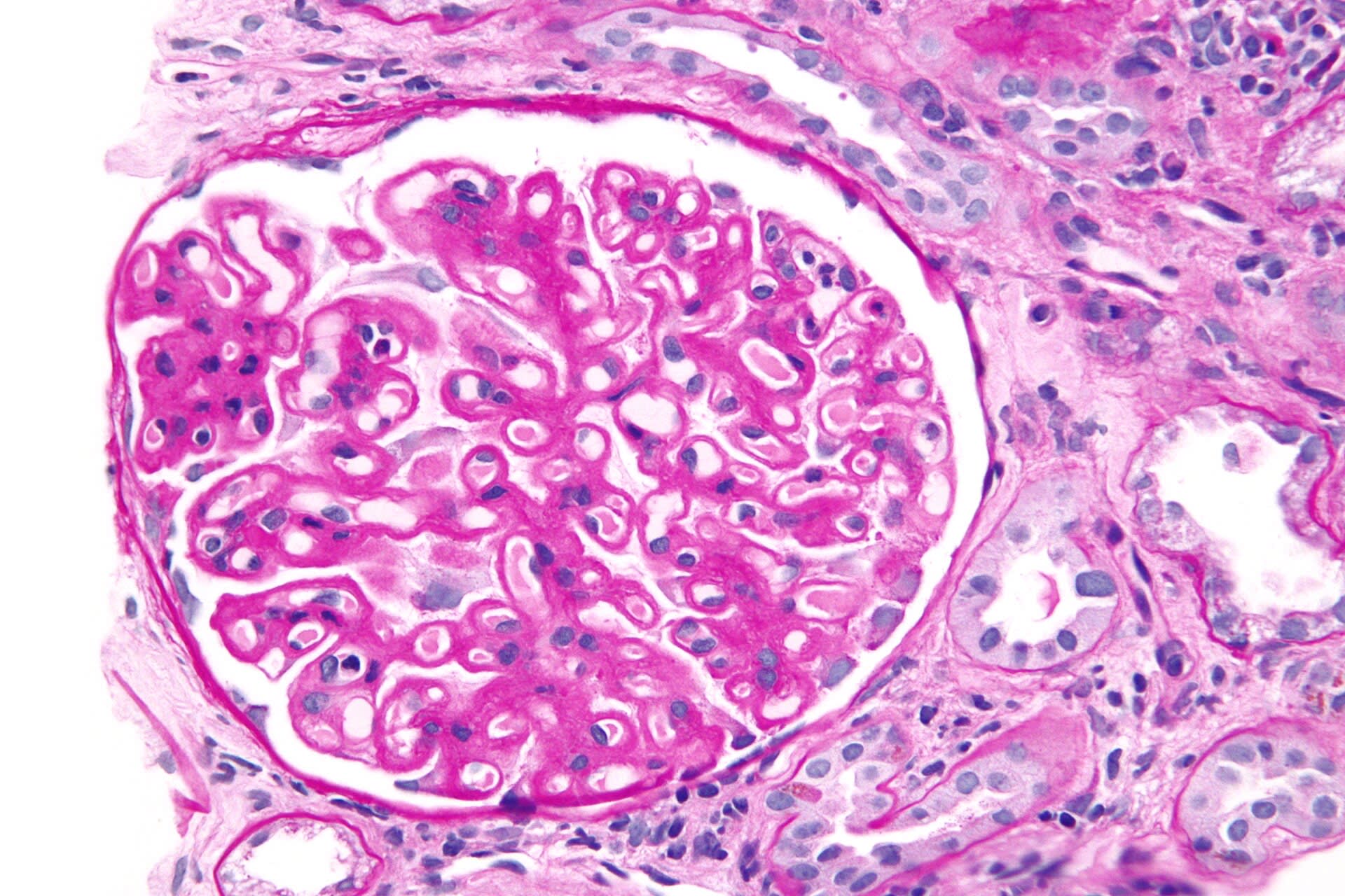 Image for question 1