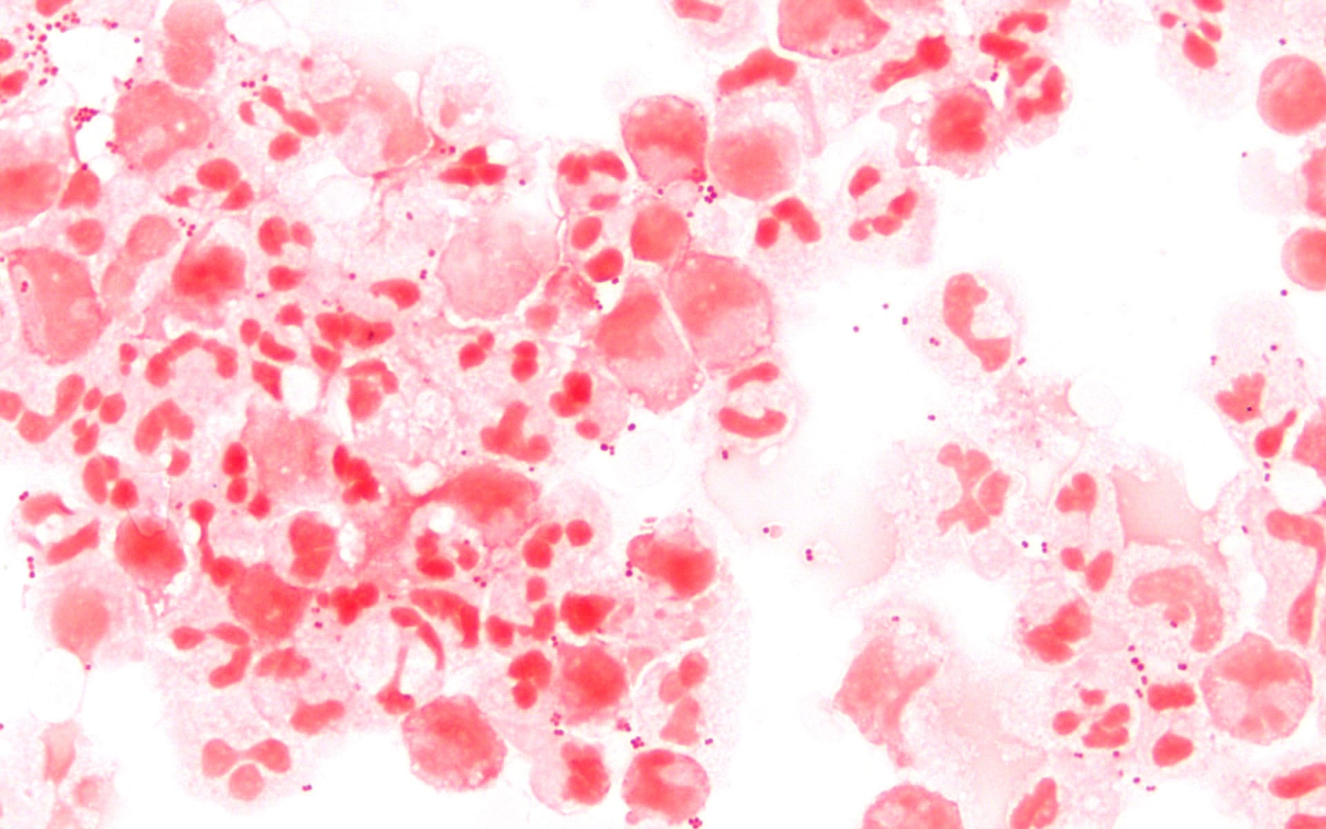 Image for question 3
