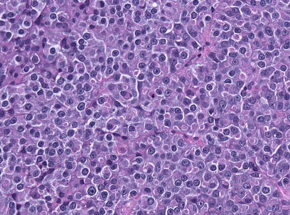 Image for question 1